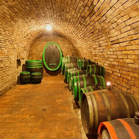 Maison d'hôtes Vinny Sklep Krysa